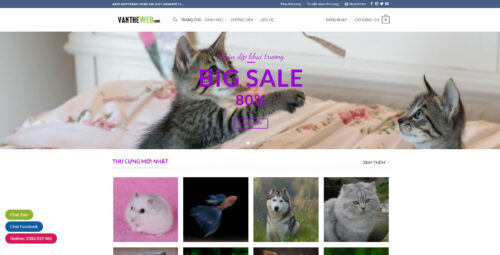 pet-1 Pet | Thú cưng