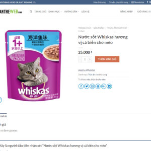 Pet | Thú cưng