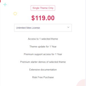 Themes tin tức Blog News Vibrant Pro